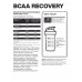 STEEL POWER BCAA RECOVERY 250г, Апельсин